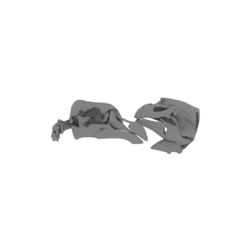 Pezophaps solitaria (Rodrigues Solitaire) Skull.stl
