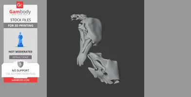Pezophaps solitaria (Rodrigues - Skull Replica STL