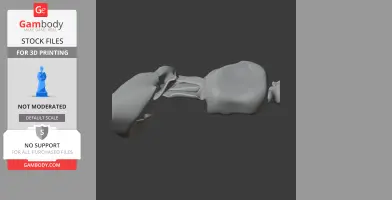Pezophaps solitaria (Rodrigues - Skull Replica STL