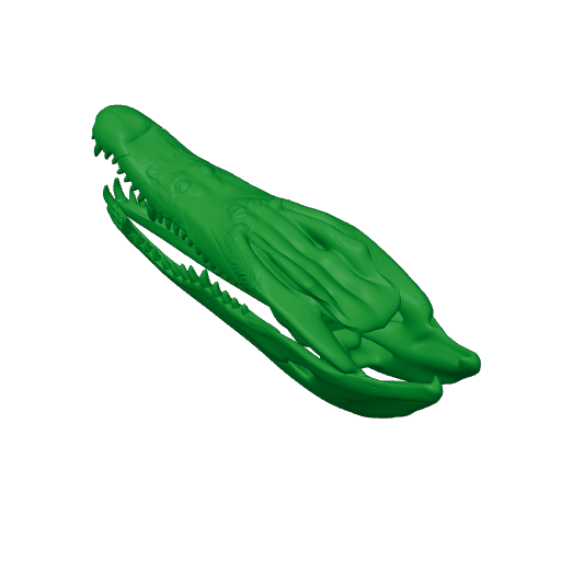 Philippine Crocodile Skull.3mf