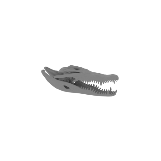 Philippine Crocodile Skull.stl