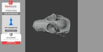 3D model of a Philippine Flying Lemur skull, showing detailed cranial structures.