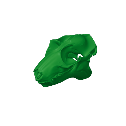 Philippine Flying Lemur Skull.3mf