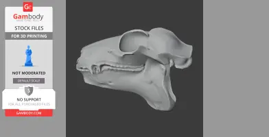 3D model of a Philippine Flying Lemur skull, side view, for 3D printing.