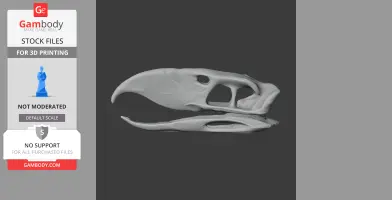 3D model of a Phorusrhacos skull, showing detailed beak and eye sockets, ready for 3D printing.