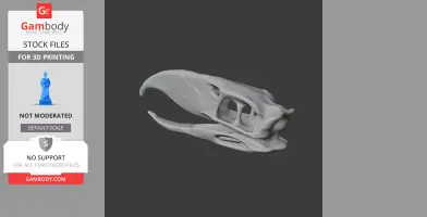 3D model of a Phorusrhacos skull, featuring prominent beak and eye sockets, for 3D printing.