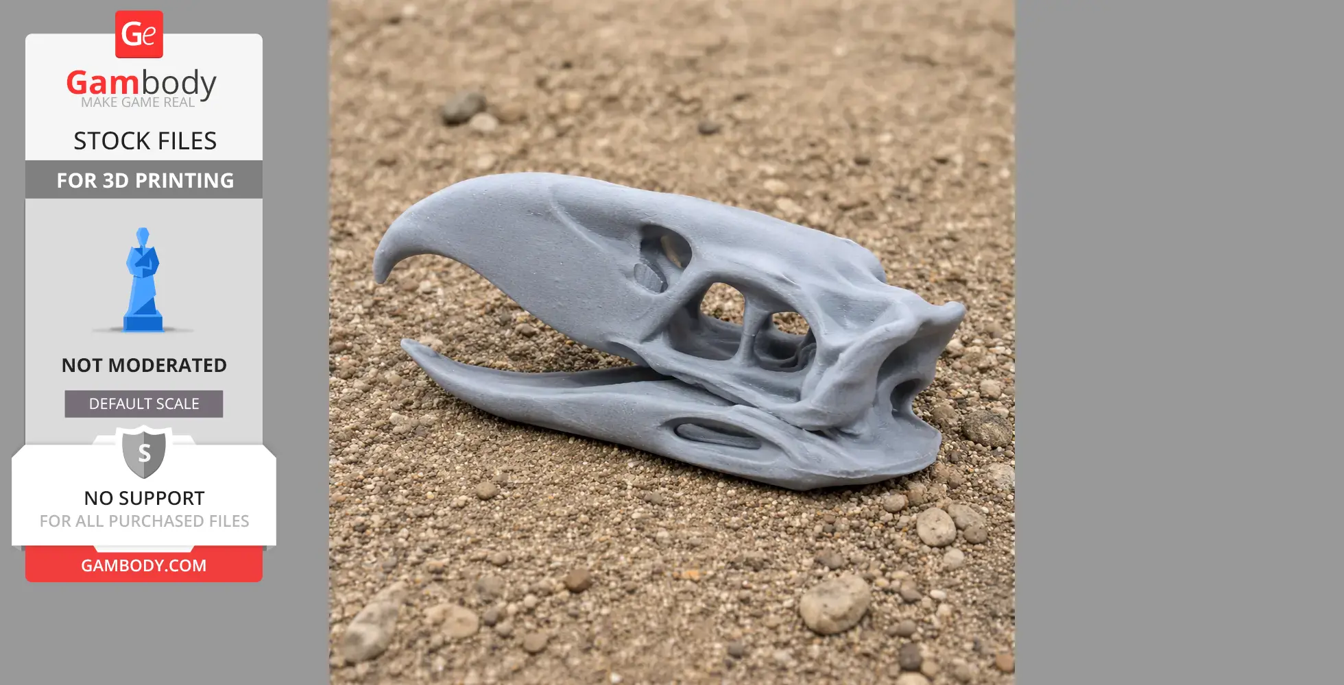Gray Phorusrhacos skull replica 3D print on rocky terrain, side view.