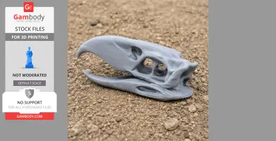 Gray Phorusrhacos skull replica 3D print on rocky terrain, side view.