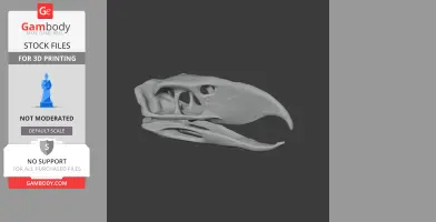 3D model of a Phorusrhacos skull replica, side view, with intricate bone structure details.
