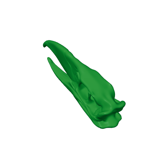 Phorusrhacos Skull.3mf