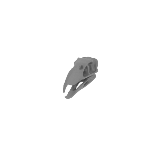 Phorusrhacos Skull.stl