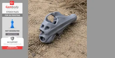 3D printed pig-footed bandicoot skull replica on sandy ground.