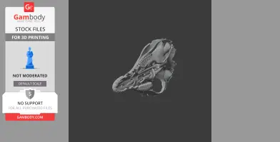 3D model of a Pig-footed Bandicoot skull displayed, styled for 3D printing.