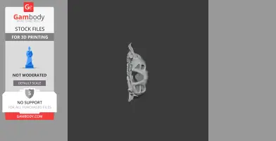 A 3D model of a pig-footed bandicoot skull in profile, showing its detailed structure for printing.