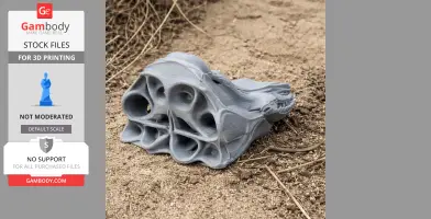 Pilot Whale Skull - Skull Replica STL