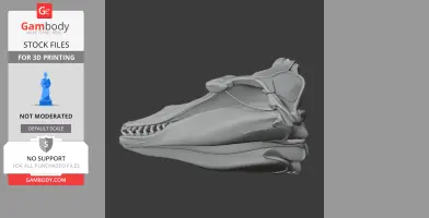 Pilot Whale Skull - Skull Replica STL