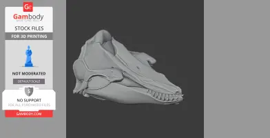 Pilot Whale Skull - Skull Replica STL