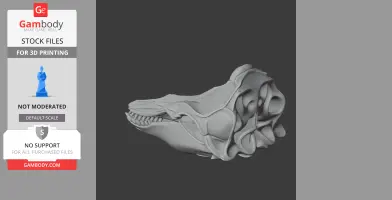 Pilot Whale Skull - Skull Replica STL