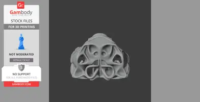 Pilot Whale Skull - Skull Replica STL