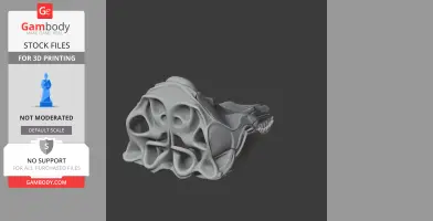 Pilot Whale Skull - Skull Replica STL