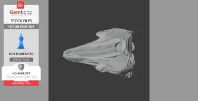 Pilot Whale Skull - Skull Replica STL