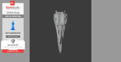 Pinguinus impennis (Great Auk) Skull - Skull Replica STL