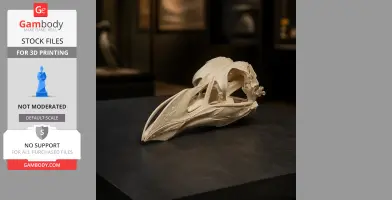 Pinguinus impennis (Great Auk) Skull - Skull Replica STL