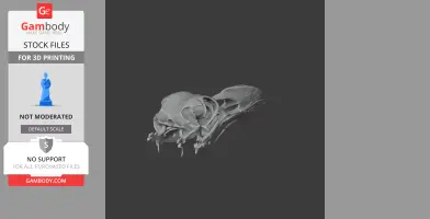 Pinguinus impennis (Great Auk) Skull - Skull Replica STL