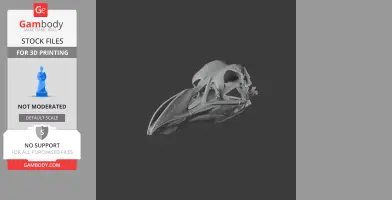 Pinguinus impennis (Great Auk) Skull - Skull Replica STL