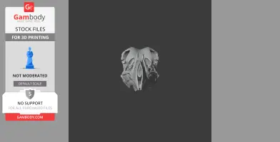 Pinguinus impennis (Great Auk) Skull - Skull Replica STL