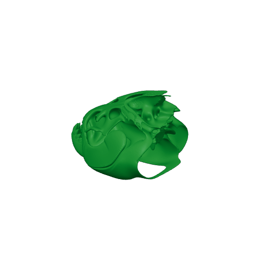 Piranha Skull.3mf