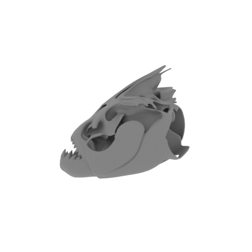 Piranha Skull.stl