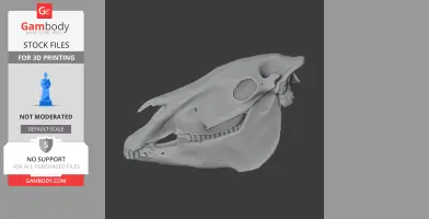 Plains Zebra Skull - Skull Replica STL