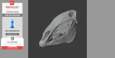 Plains Zebra Skull - Skull Replica STL
