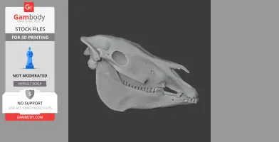 Plains Zebra Skull - Skull Replica STL