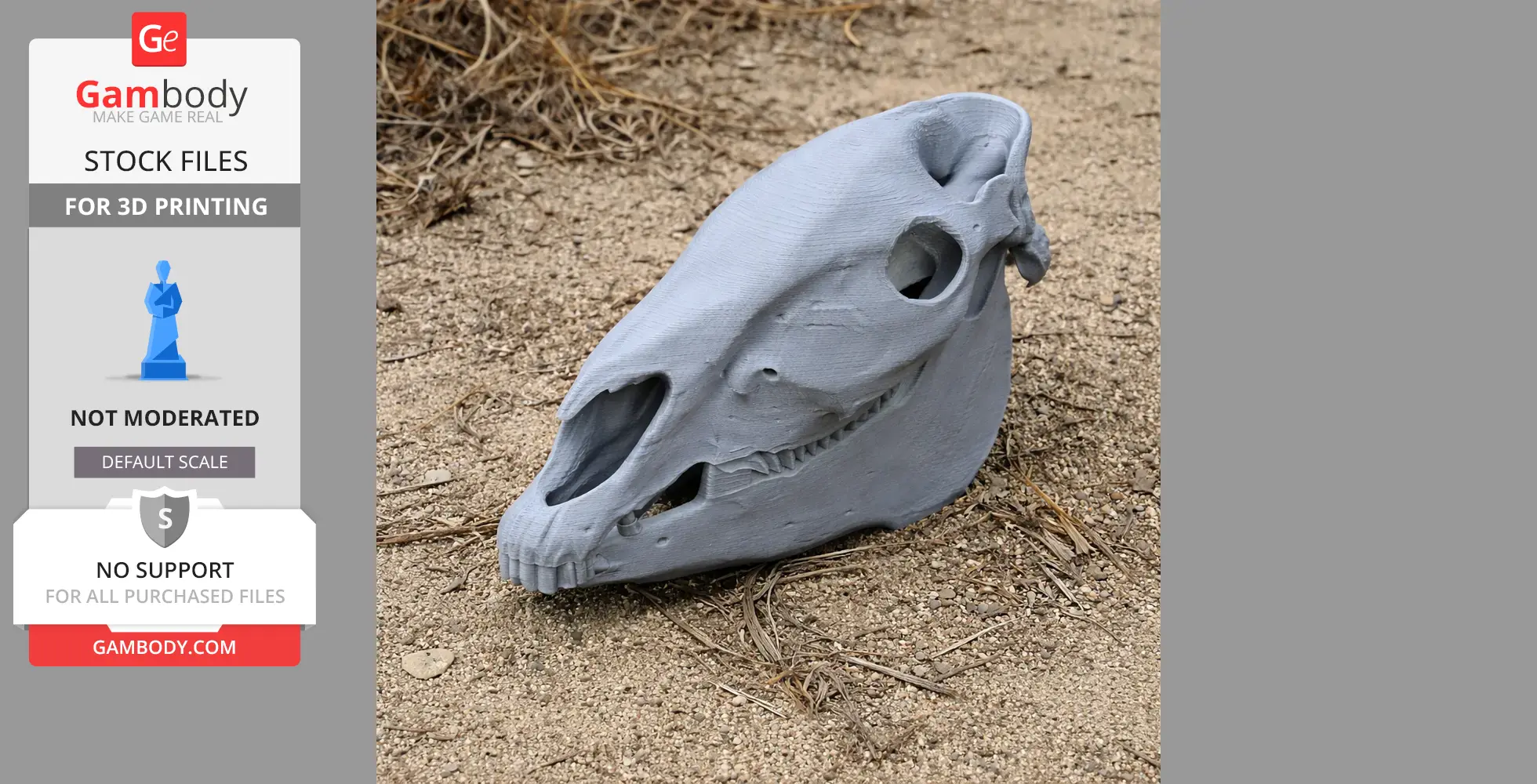 Plains Zebra Skull - Skull Replica STL