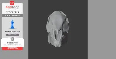 Plains Zebra Skull - Skull Replica STL