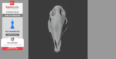 Plains Zebra Skull - Skull Replica STL