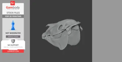 Plains Zebra Skull - Skull Replica STL