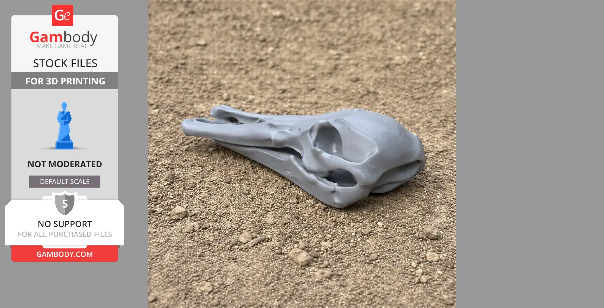 Platypelta Skull - Skull Replica STL