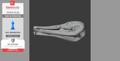 Platypelta Skull - Skull Replica STL