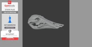 Platypelta Skull - Skull Replica STL