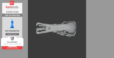 Platypelta Skull - Skull Replica STL