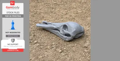 Platypelta Skull - Skull Replica STL