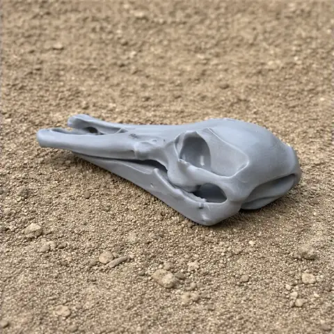 3D-printed Platypelta dinosaur skull replica on textured surface.