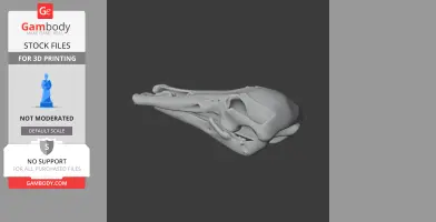 Platypelta Skull - Skull Replica STL