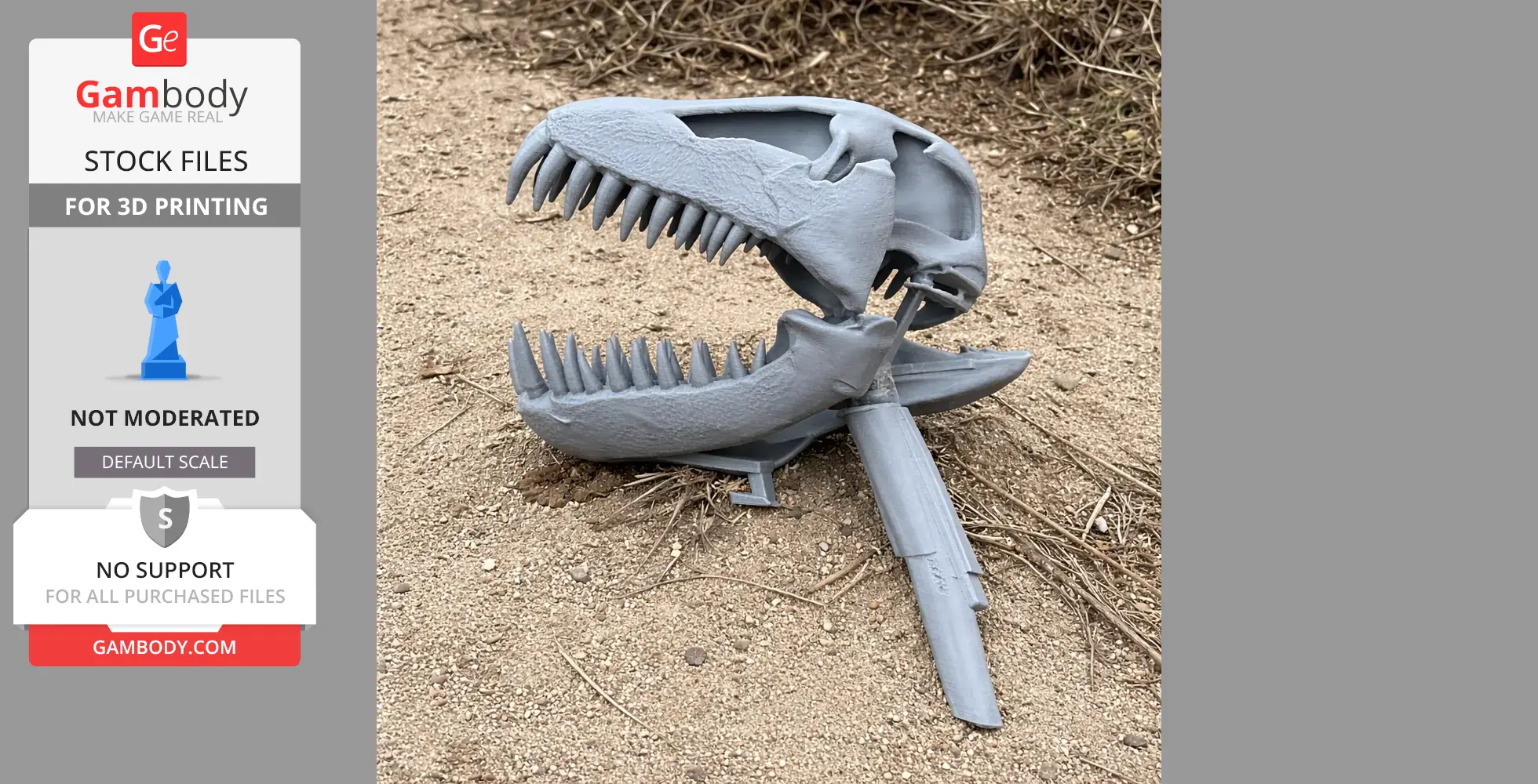 Plesiosaurus Skull - Skull Replica STL