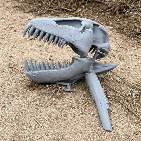 3D printed Plesiosaurus skull replica with open jaws, displayed on sandy terrain.