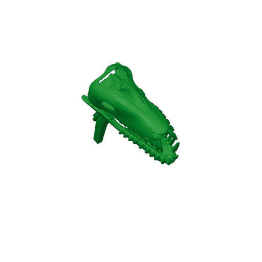 Plesiosaurus Skull.3mf
