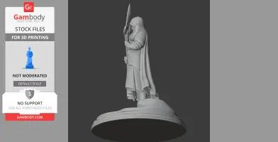 Cathedral Guard Tunic - Character Figure STL